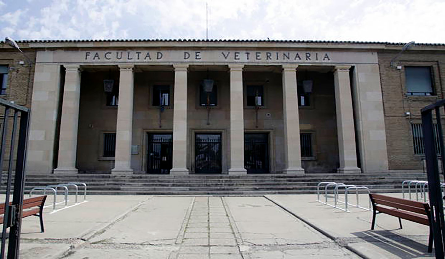 imagen centro